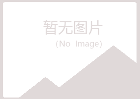 河池浮夸冶炼有限公司